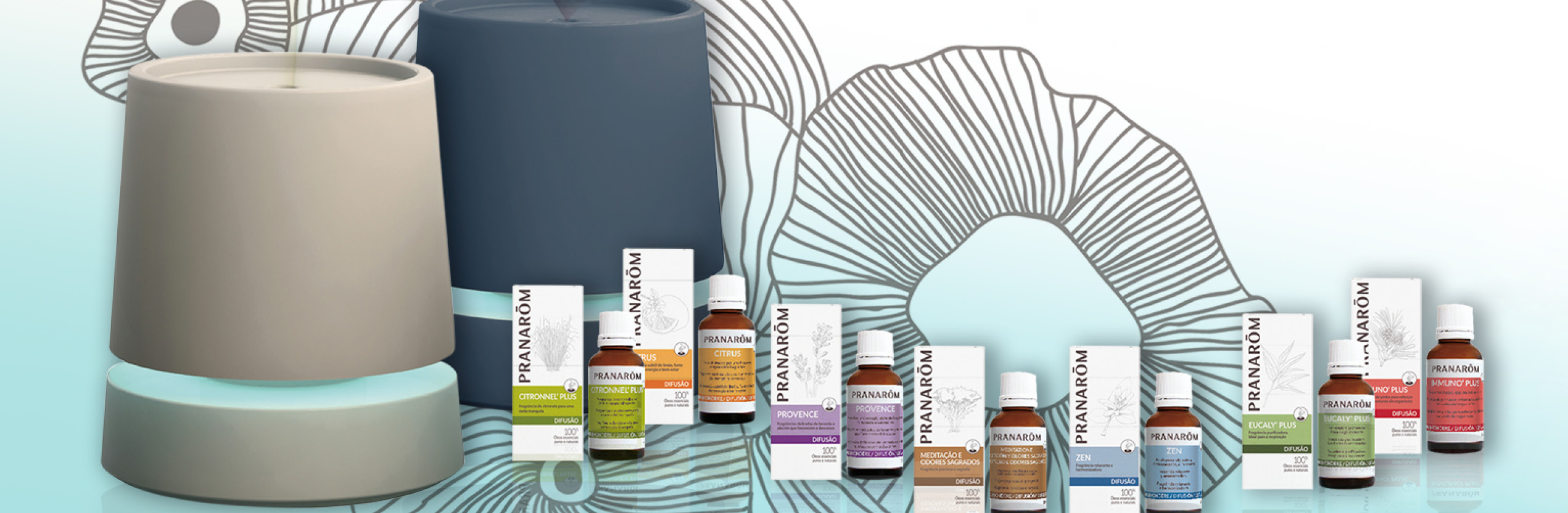 Pranarom: Aromaterapia e Óleos Essenciais